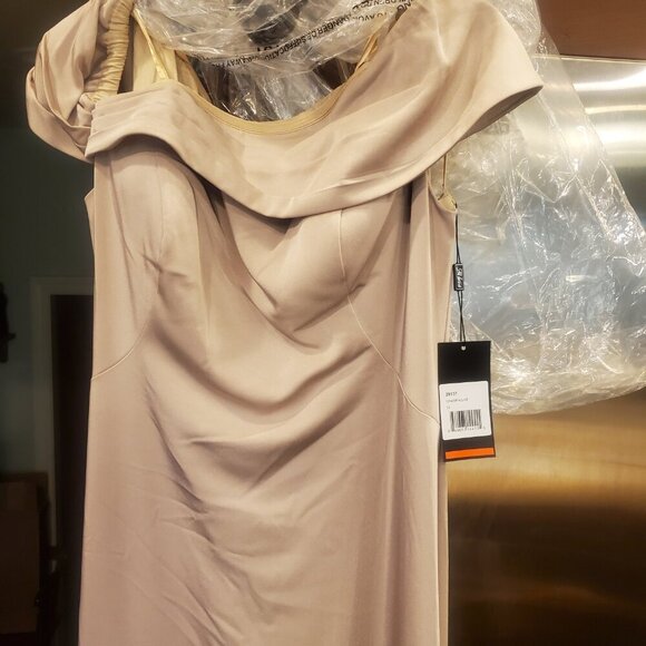 NWT La Femme 29537SC Lace Applique Evening Dresses Champagne Size 10 - Picture 8 of 8